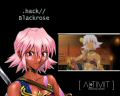 hack blackrose copy.jpg